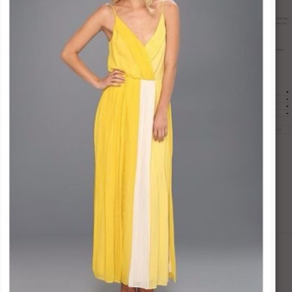 Joie pleated maxi dress